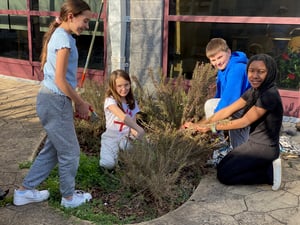 Herb Garden Maintaince